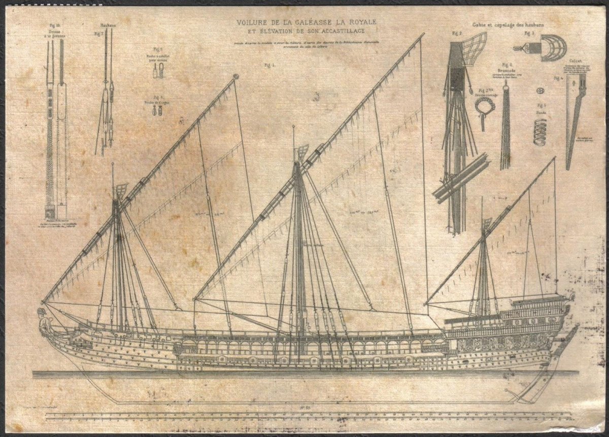 Галера Принципиум Петра 1