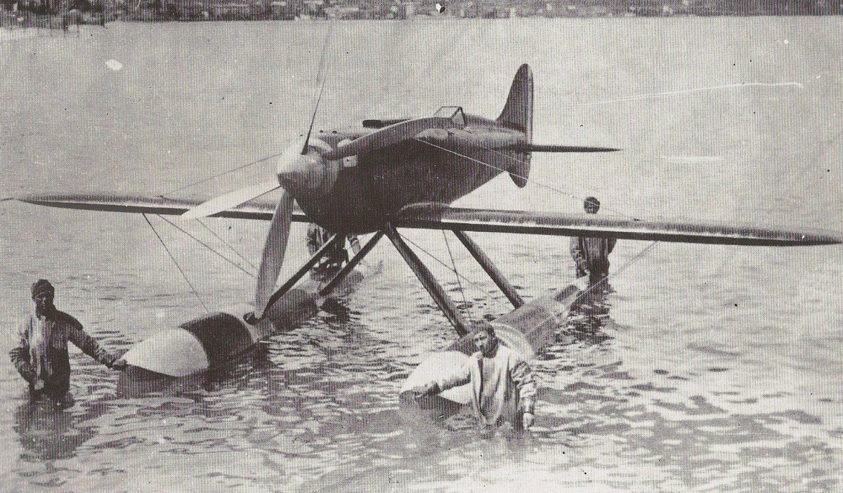 Самолет Макки-Кастольди m-67