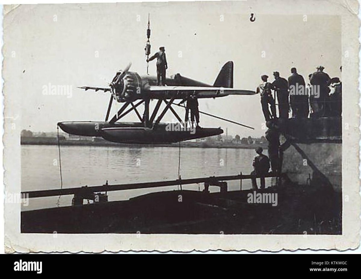 Бернард h 110