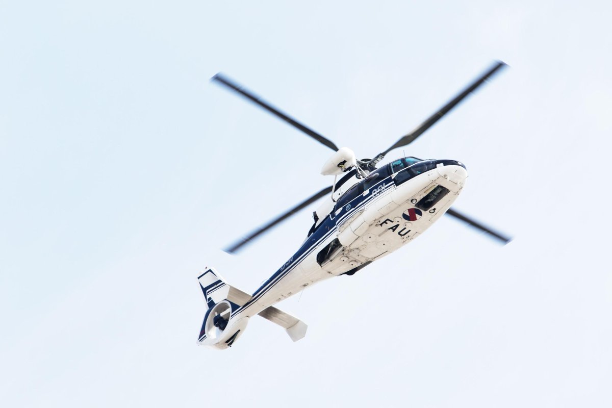 Aérospatiale as.365 Dauphin