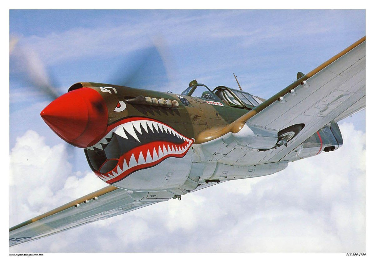 Тайгер Шарк самолет