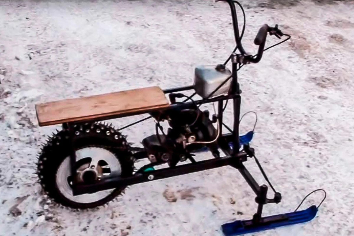 Мотосани муравей