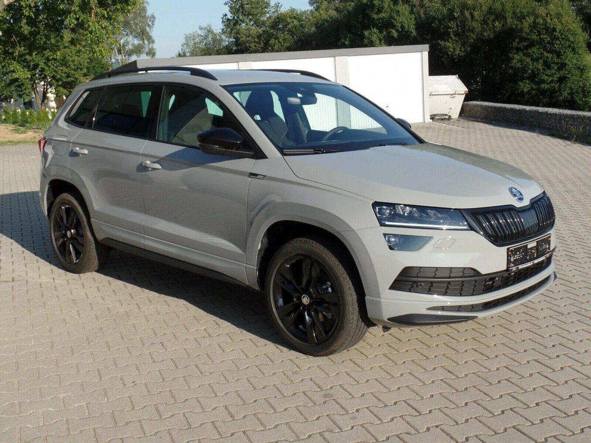 Skoda Karoq r17