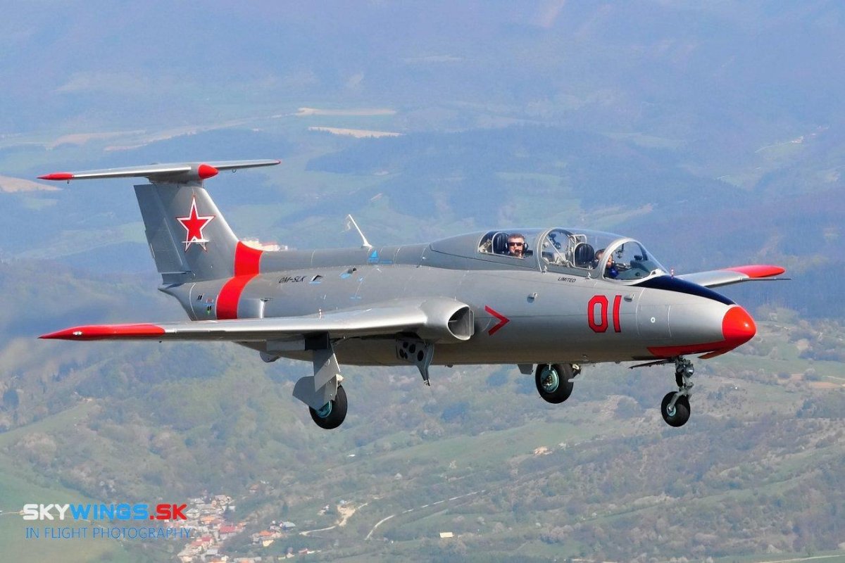 Delfin l-29 самолет