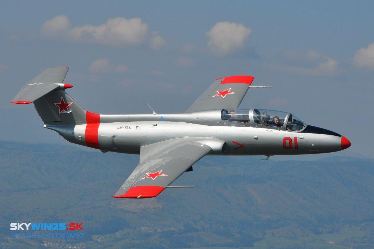 Delfin l-29 самолет