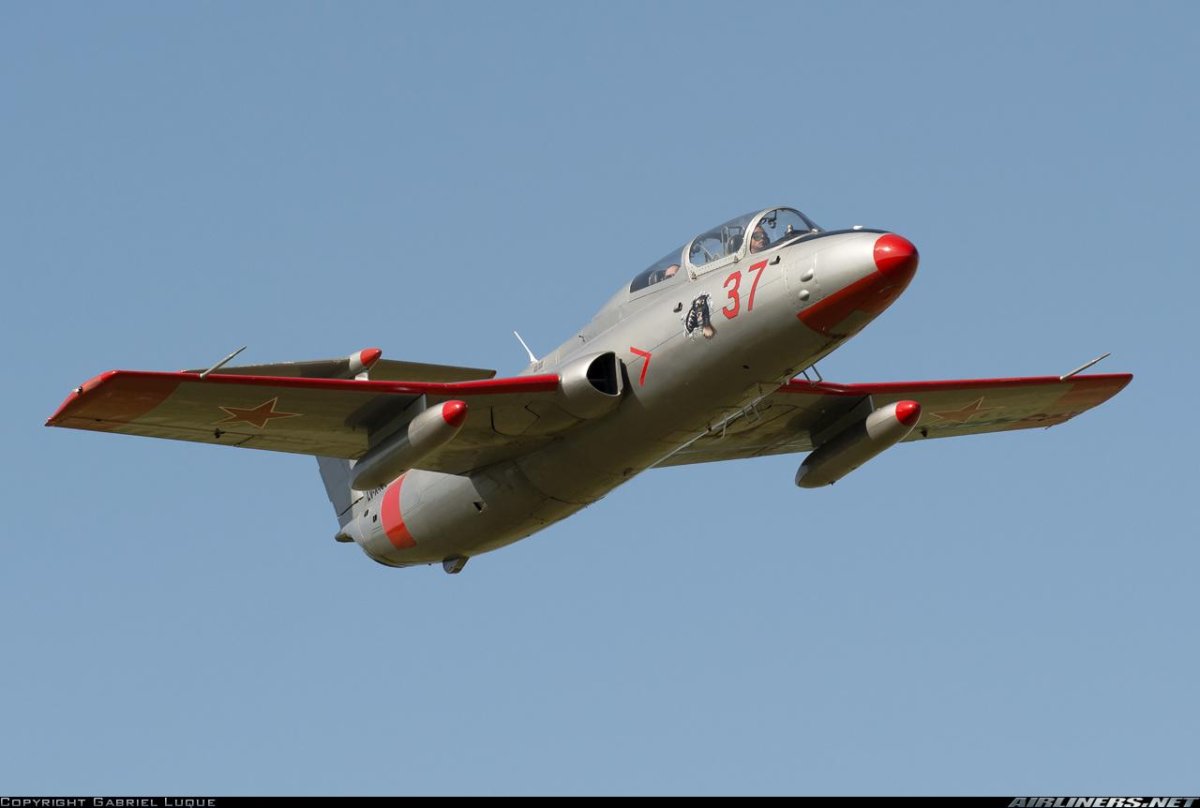 L29 Дельфин кабина