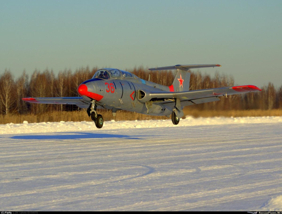 L-29 Albatros самолет