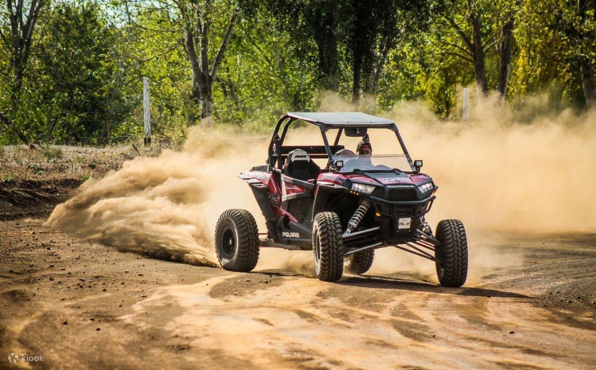 Багги Полярис