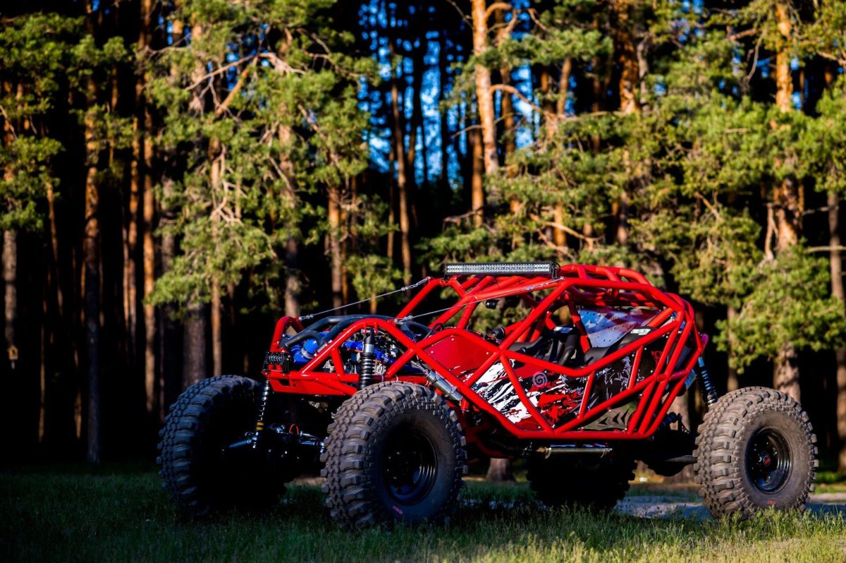 Станислав Петракеев багги