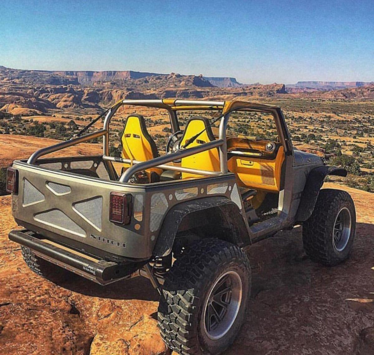 Багги Виллис