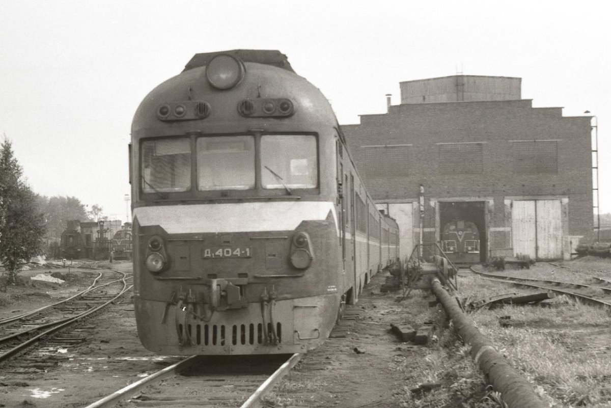 Дизель-поезд д1-751