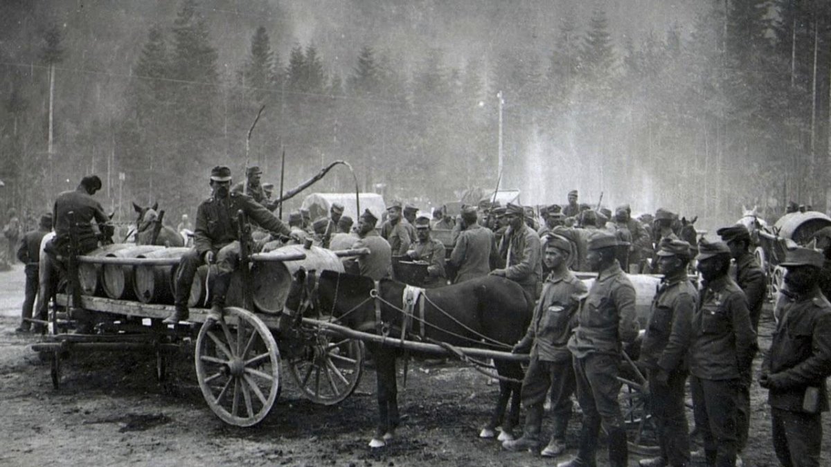 Армия Австро-Венгрии 1914-1918