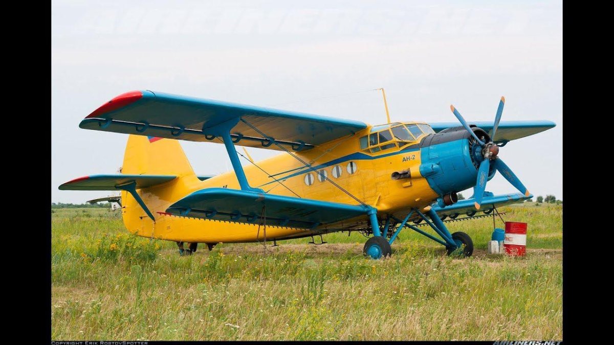 Самолёт АН это кукурузник?