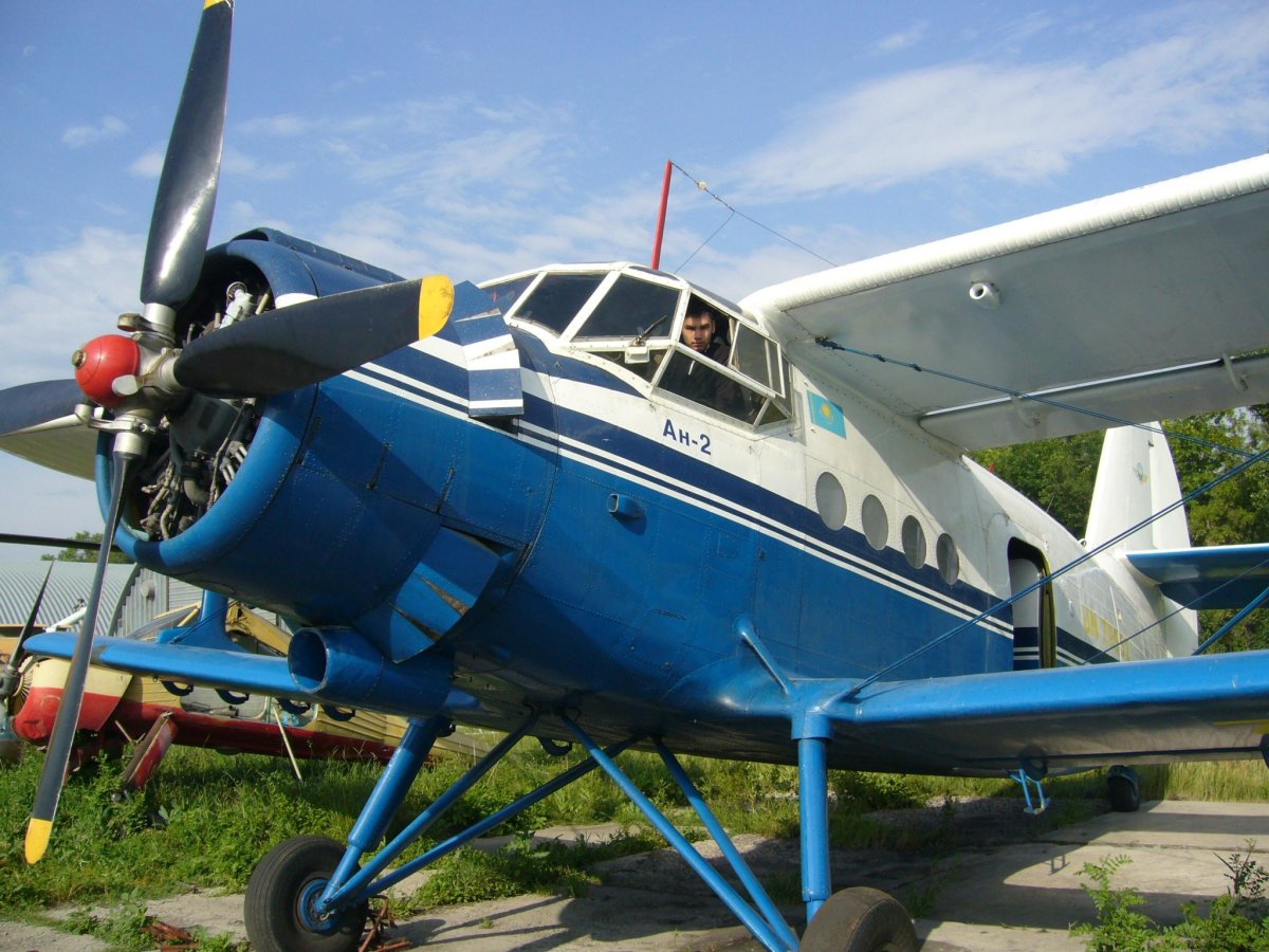 Элероны АН 2