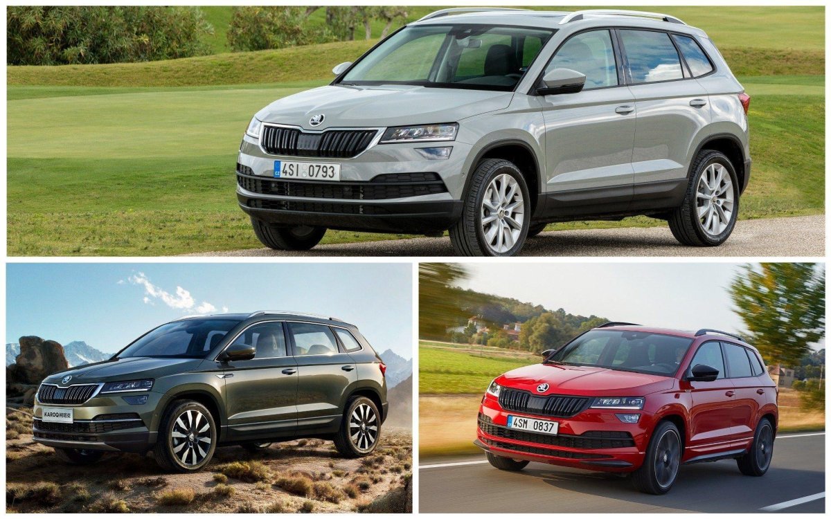 Шкода Карок болотный цвета