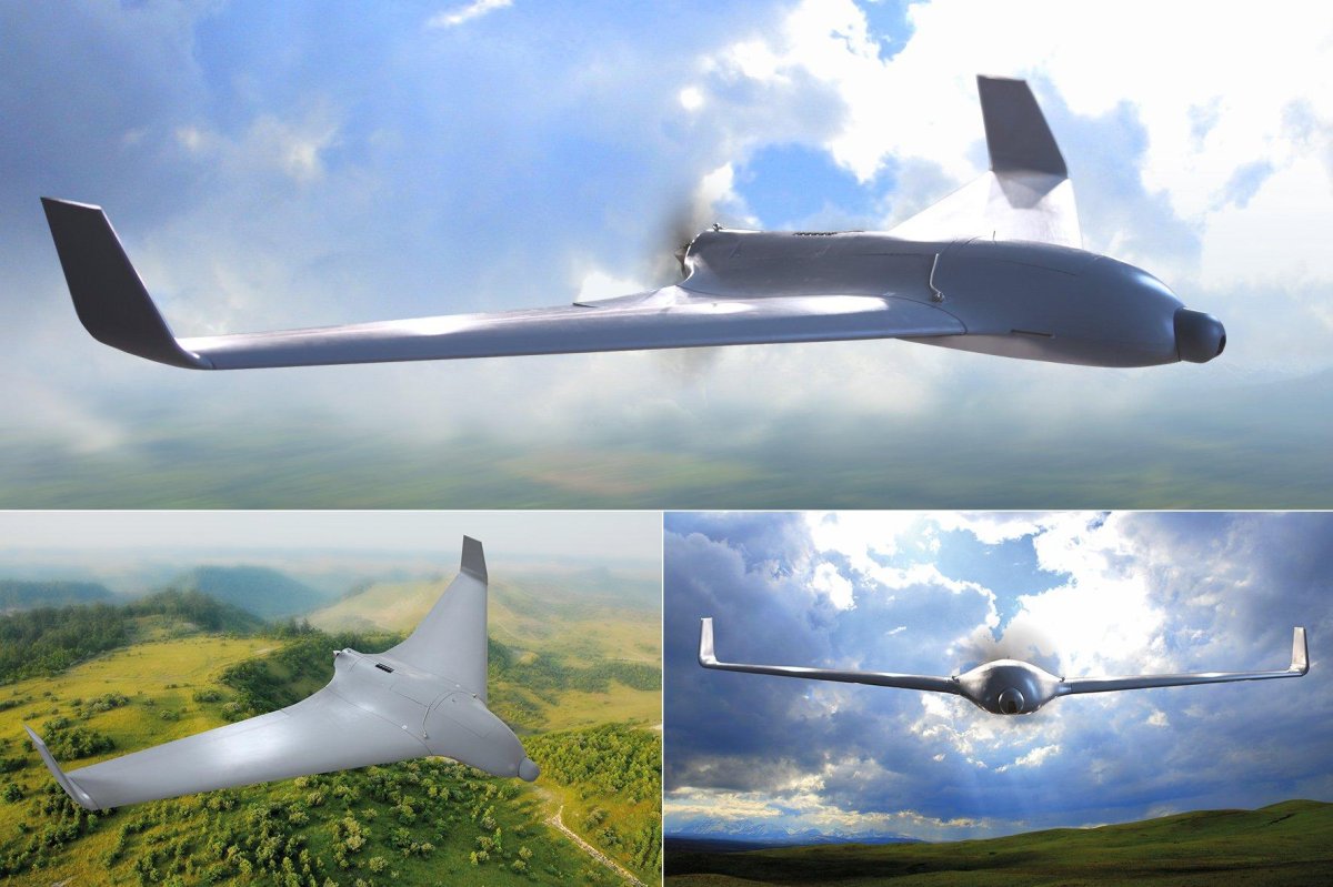 БПЛА Skywalker x8