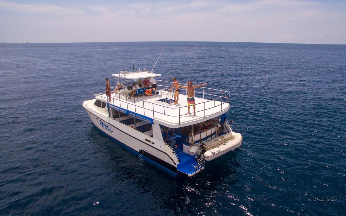 Моторный водоизмещающий катамаран