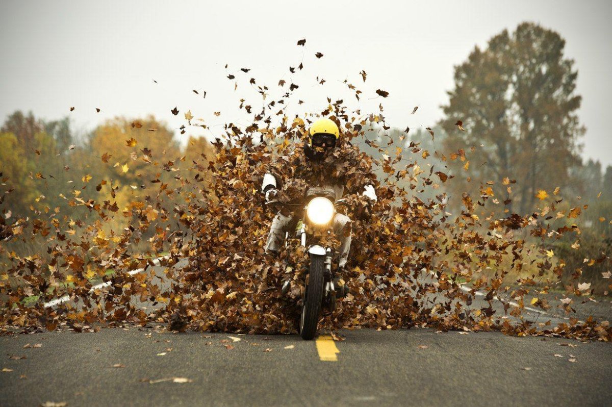 Мотоцикл осень