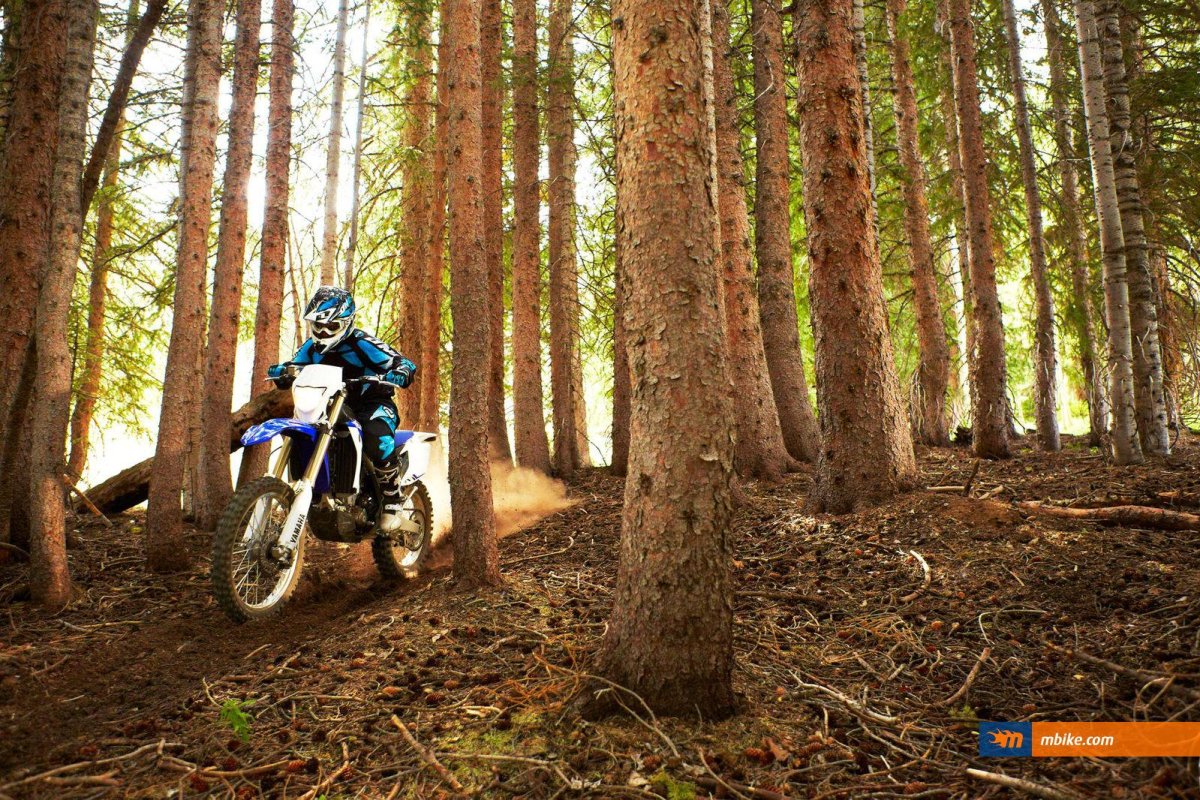 Yamaha wr450f на фоне леса