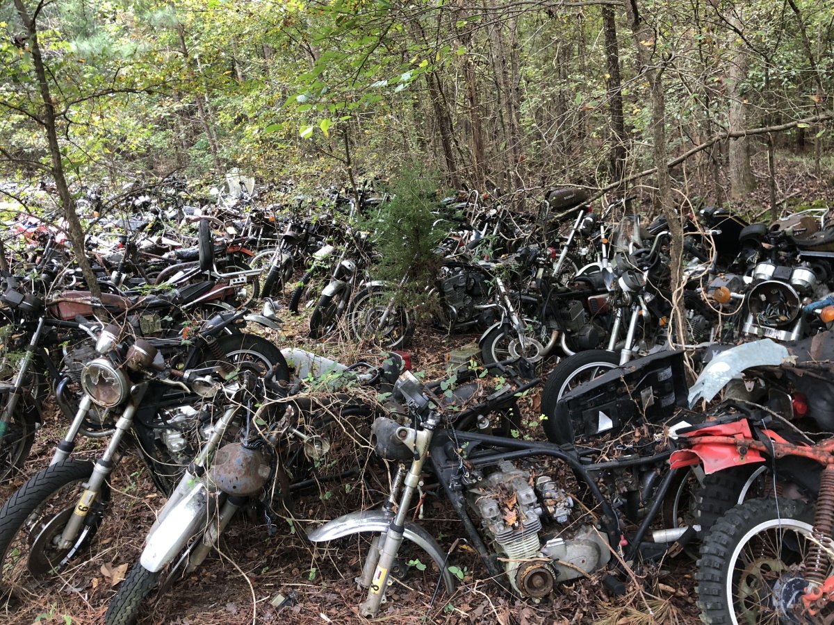 Мотоцикл для леса