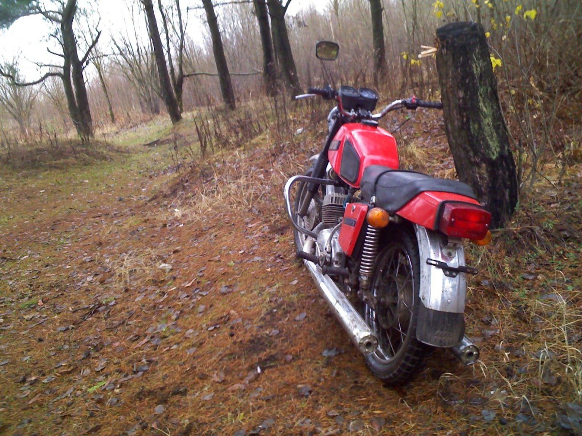 ИЖ Юпитер 5 в лесу