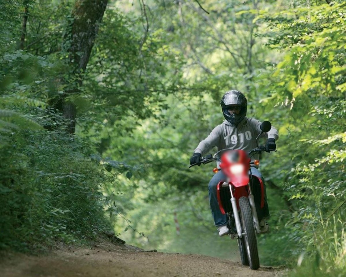 Лесной мотоцикл