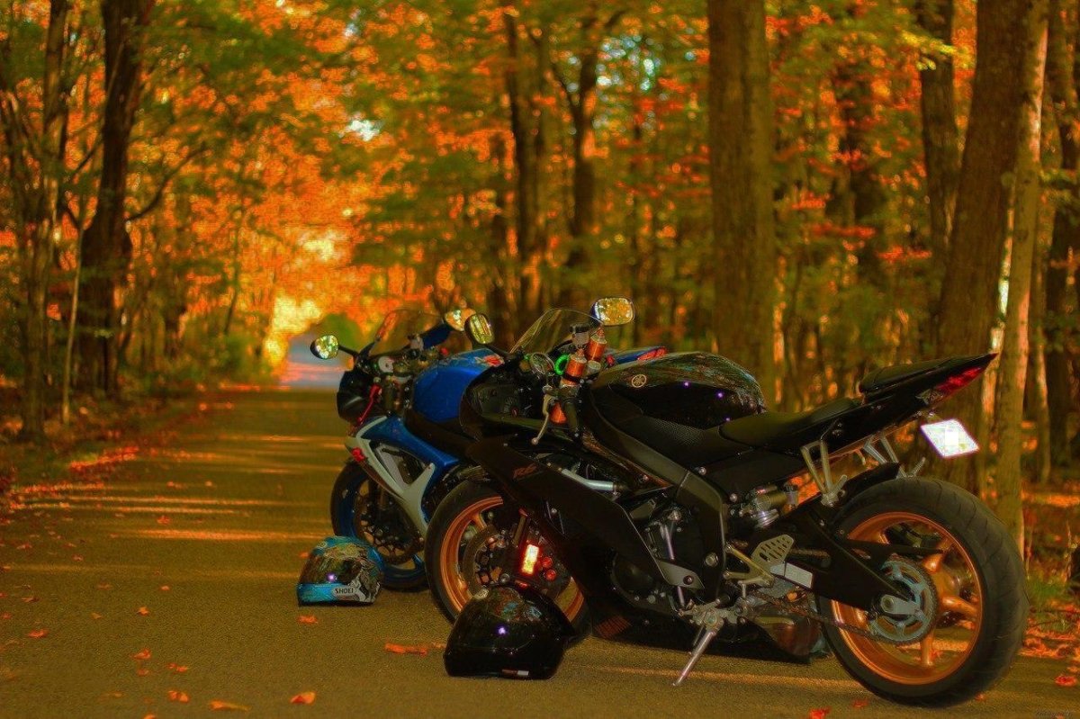 Мотоцикл осень