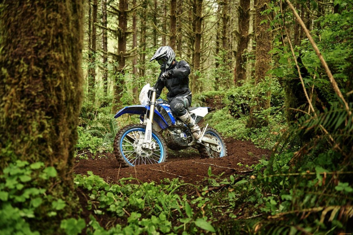 Yamaha wr450f 2018