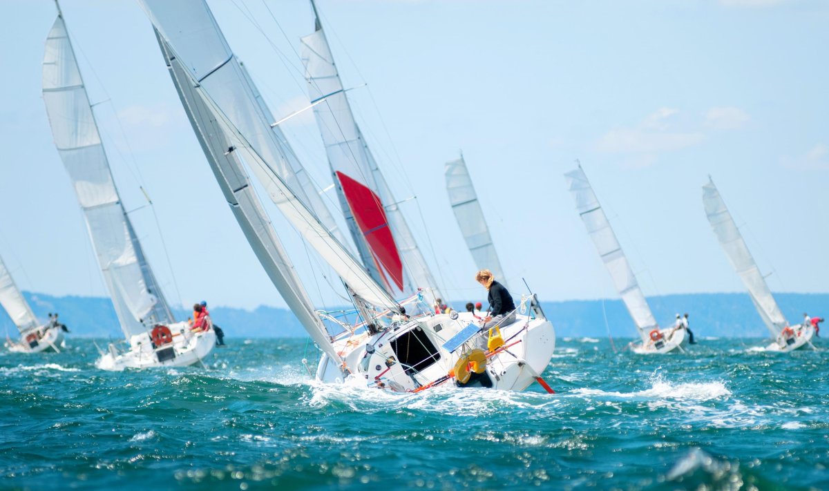 Яхта регата