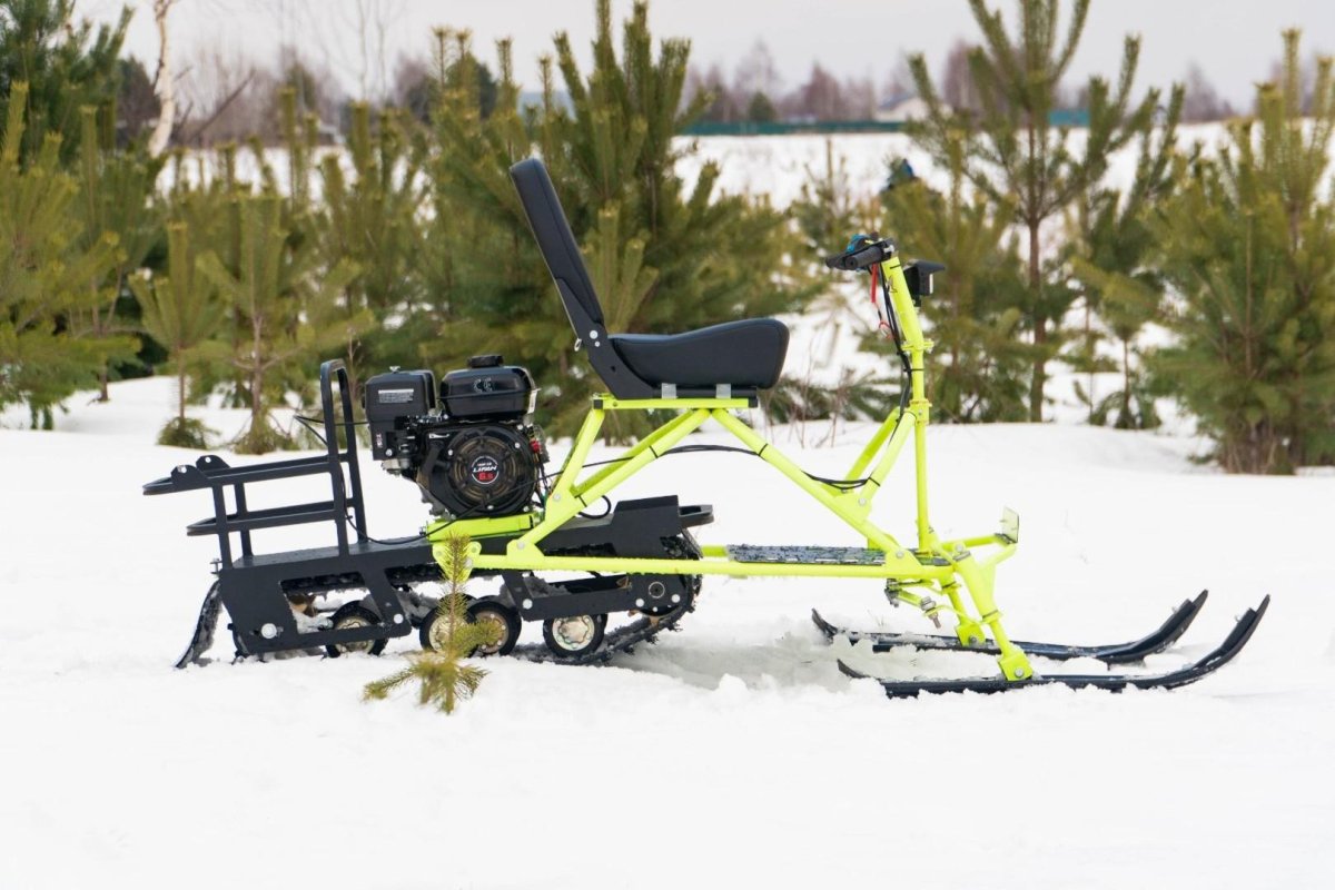 Миниснегоход Тэсик