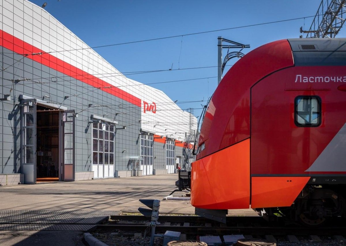 Депо Подмосковная ласточки