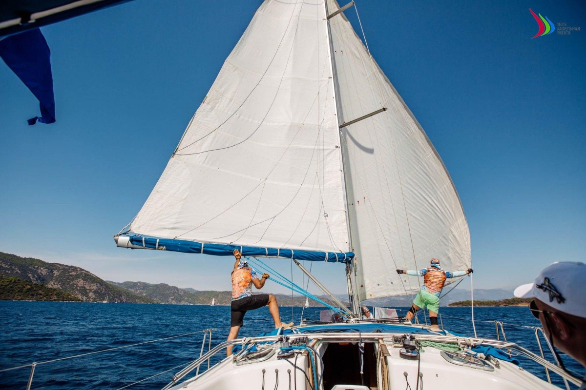 Регата фирма