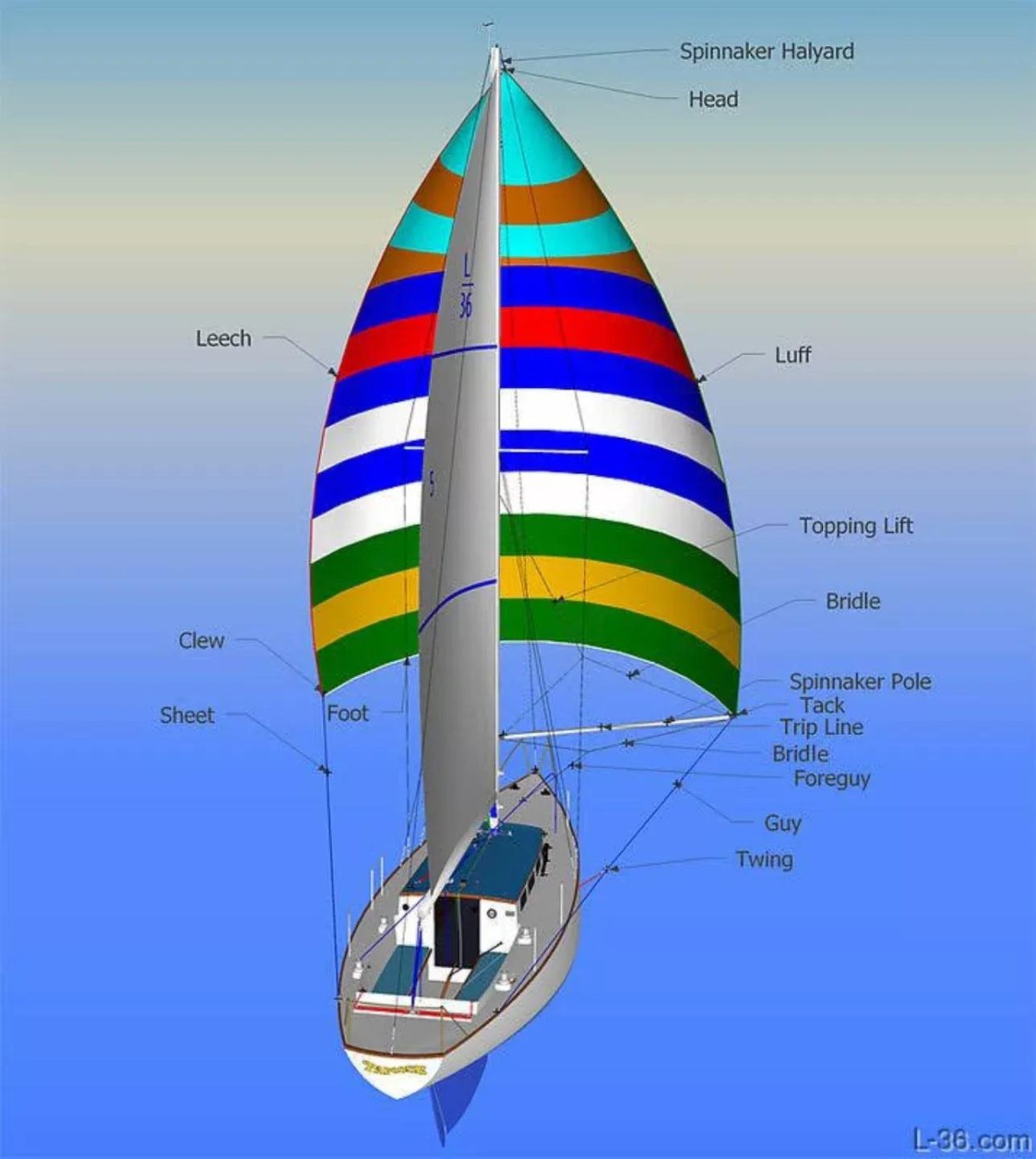 Стаксель и спинакер