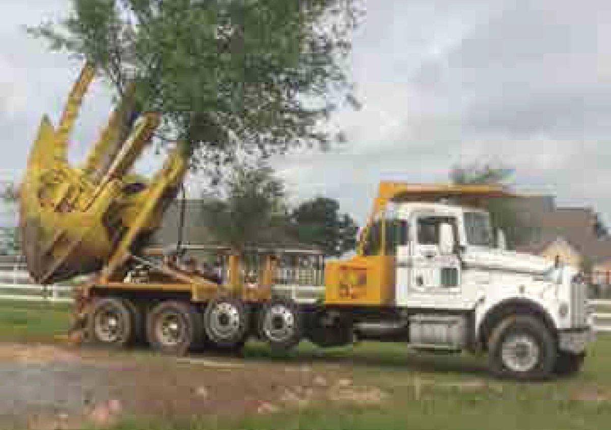 Пересадчик деревьев самоходный