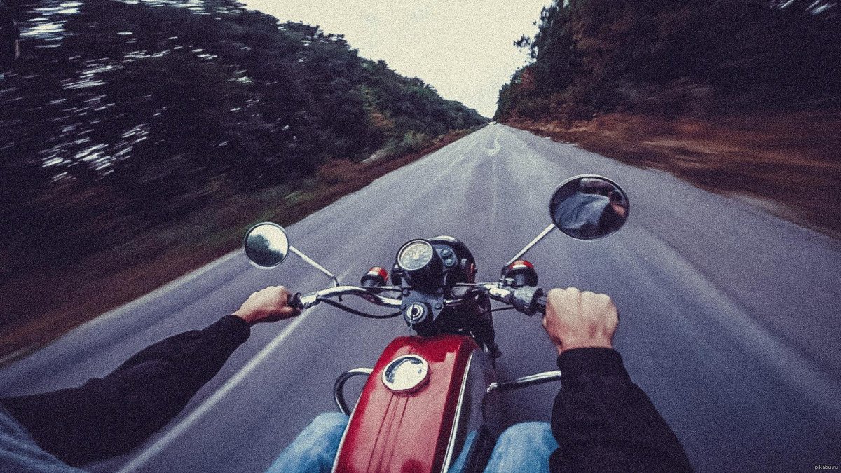 Фильм где медведь за рулем мотоцикла Ява