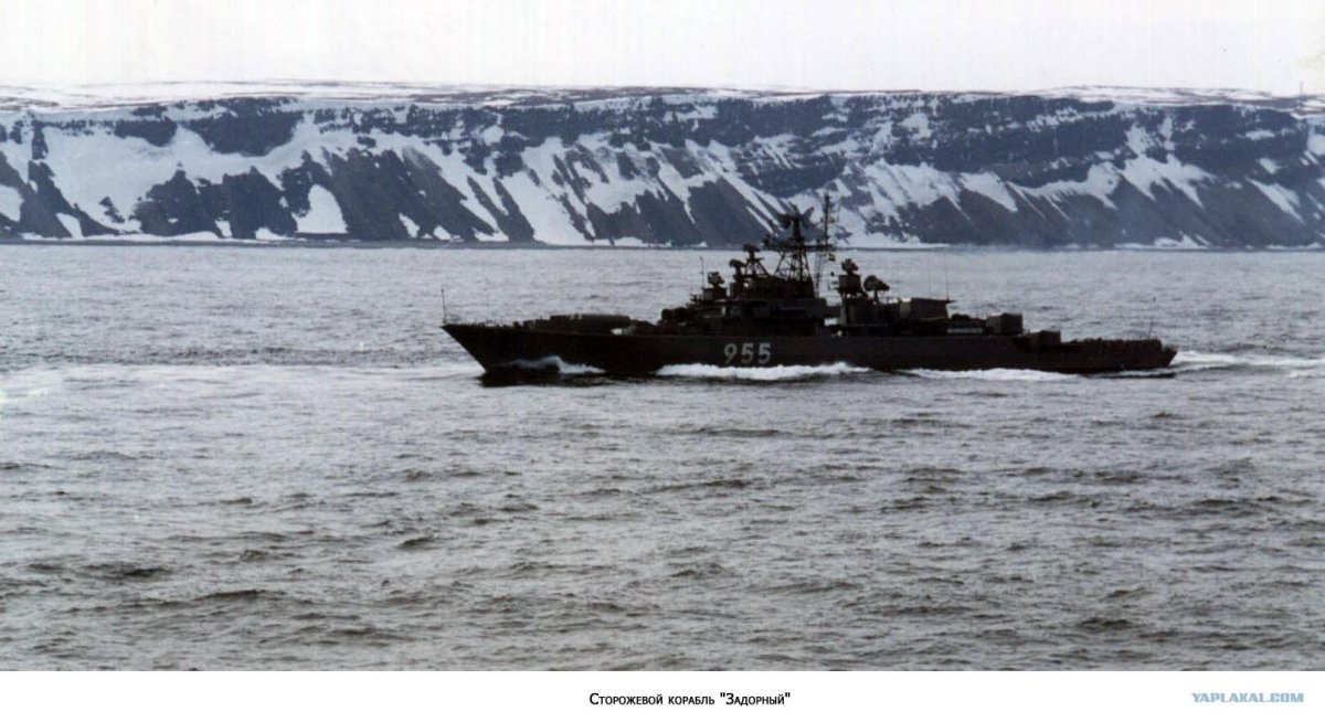 СКР задорный Северный флот