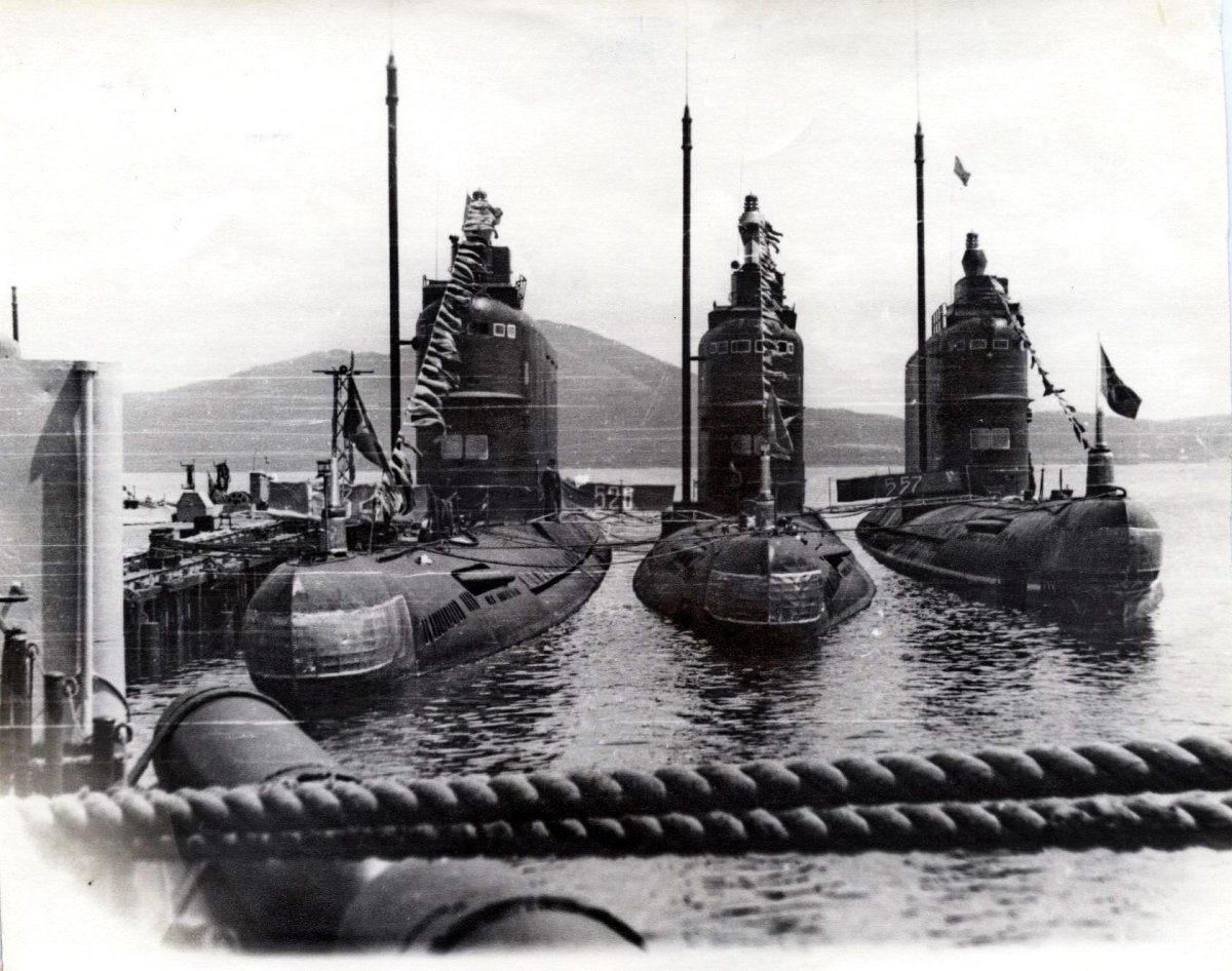 АПЛ 690 проекта