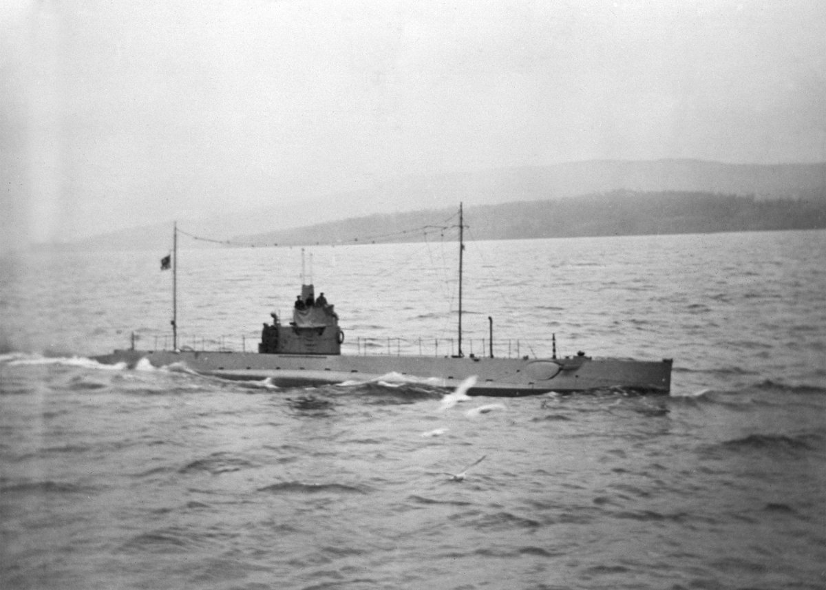 Акула линкор фото