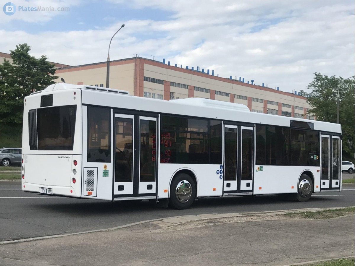 Автобус МАЗ 203016