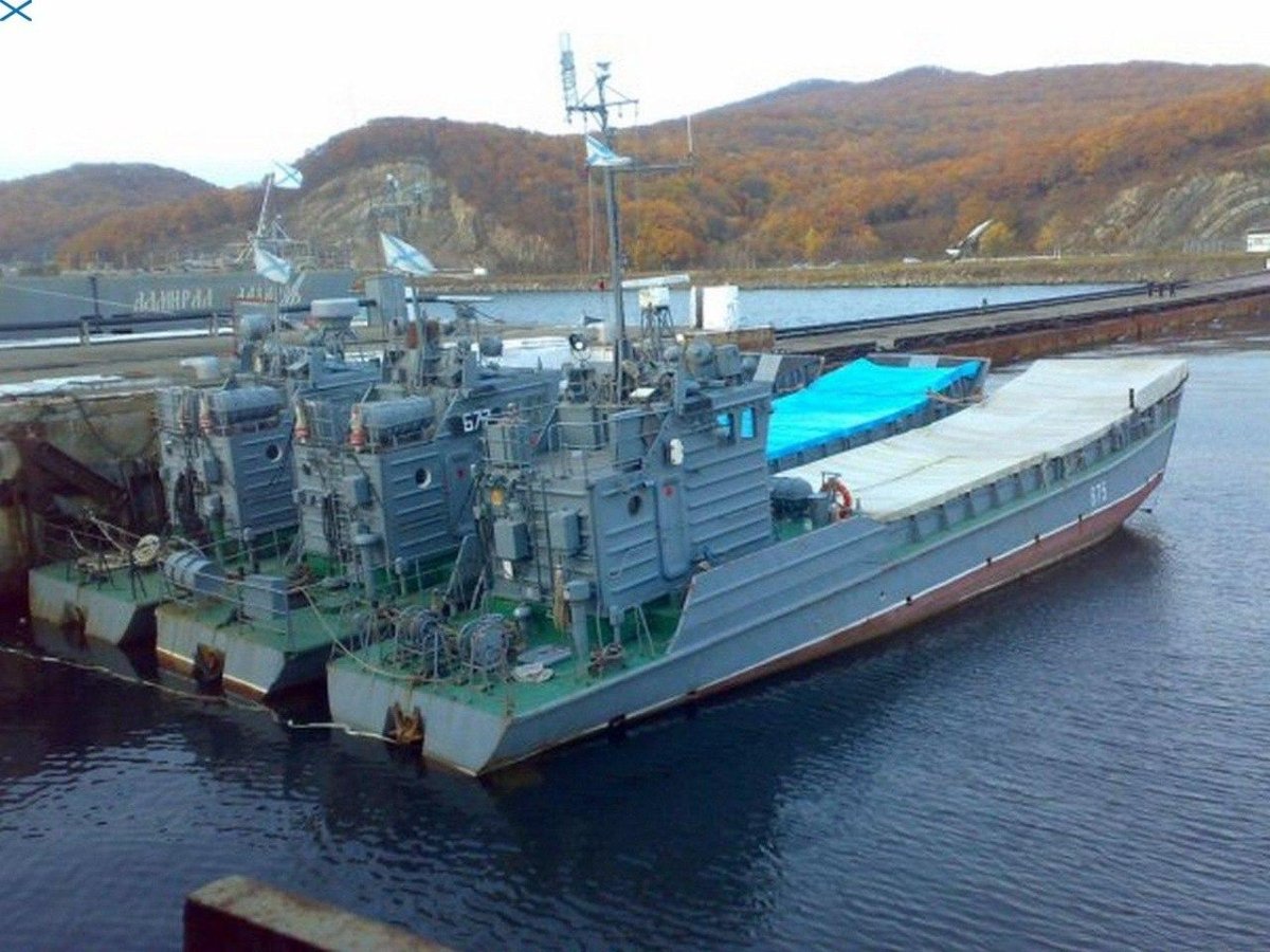 Приморская флотилия разнородных сил Тихоокеанского флота