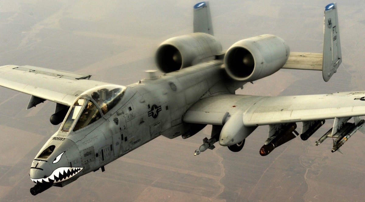 Бородавочник самолет а-10