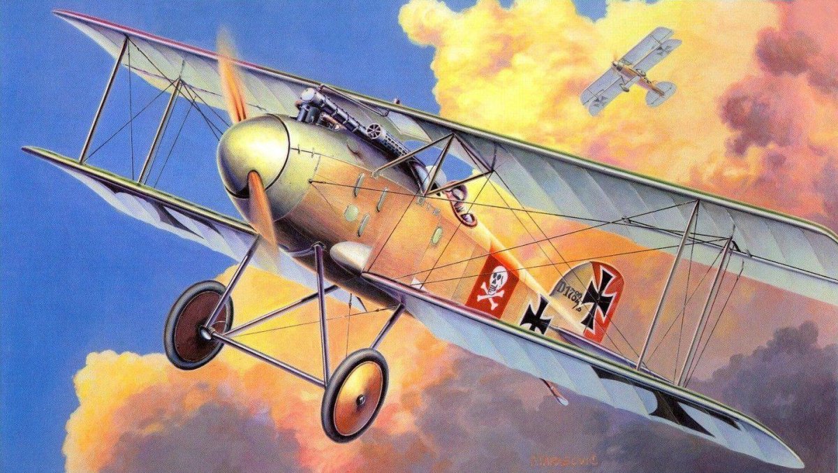 Albatros d2