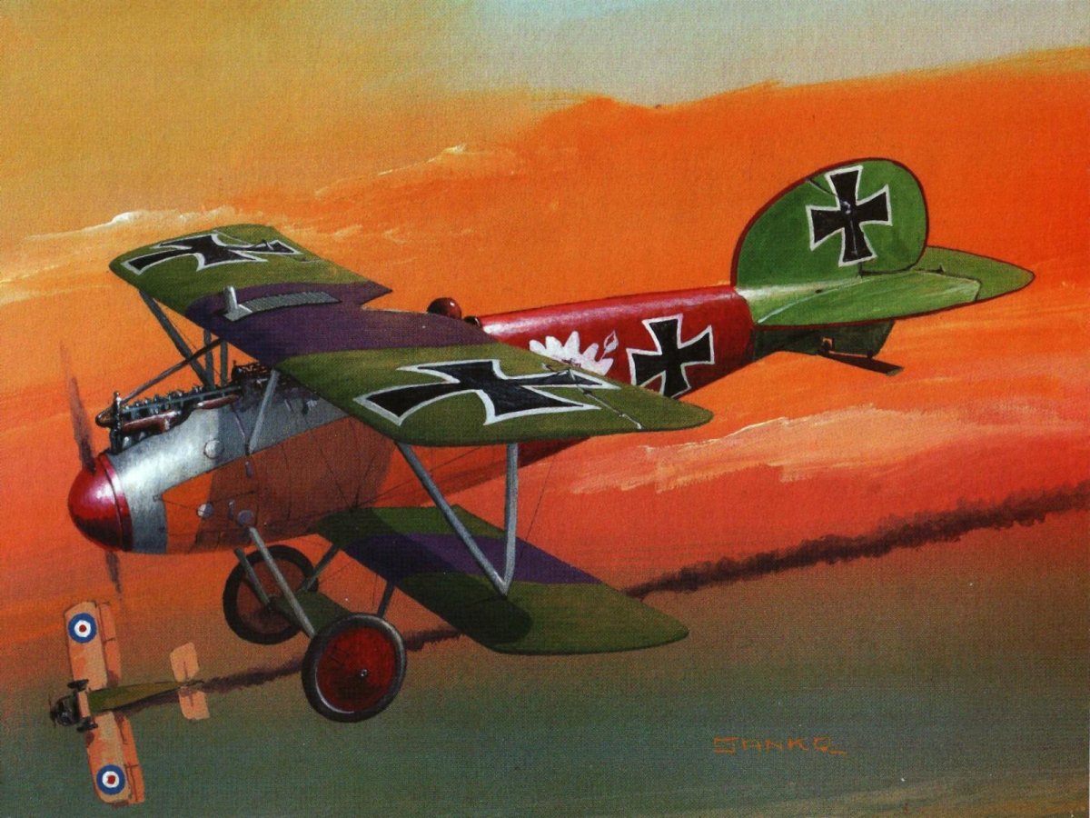 Альбатрос д5 самолет