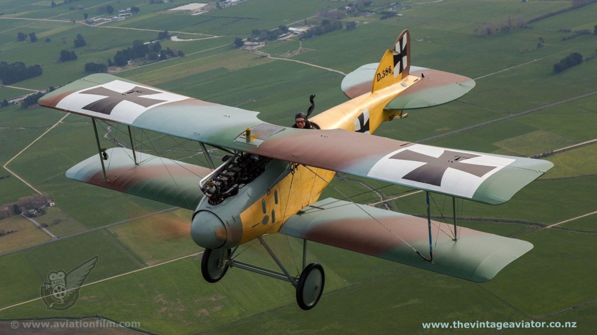 Albatros d2