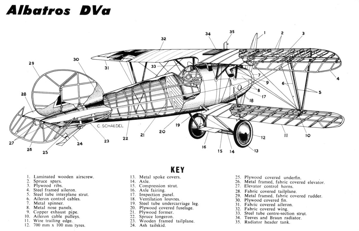 Чертеж Albatros d5