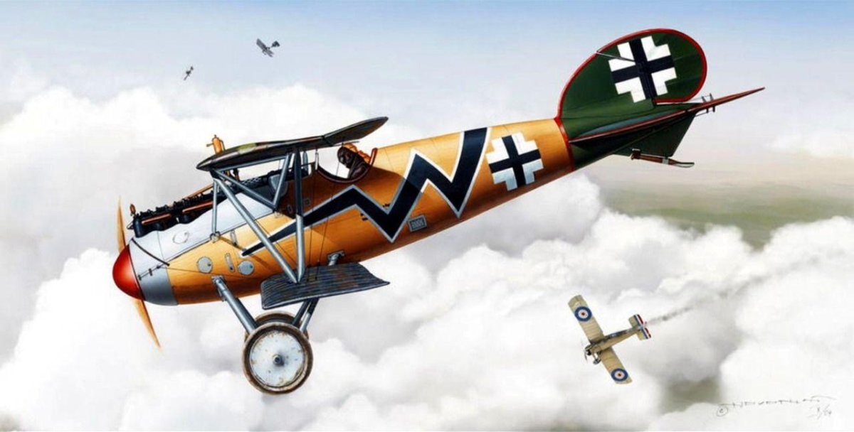 Albatros d-35