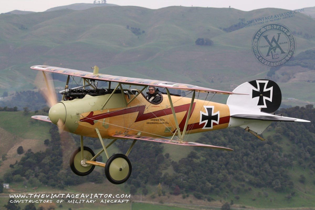 Albatros d.III