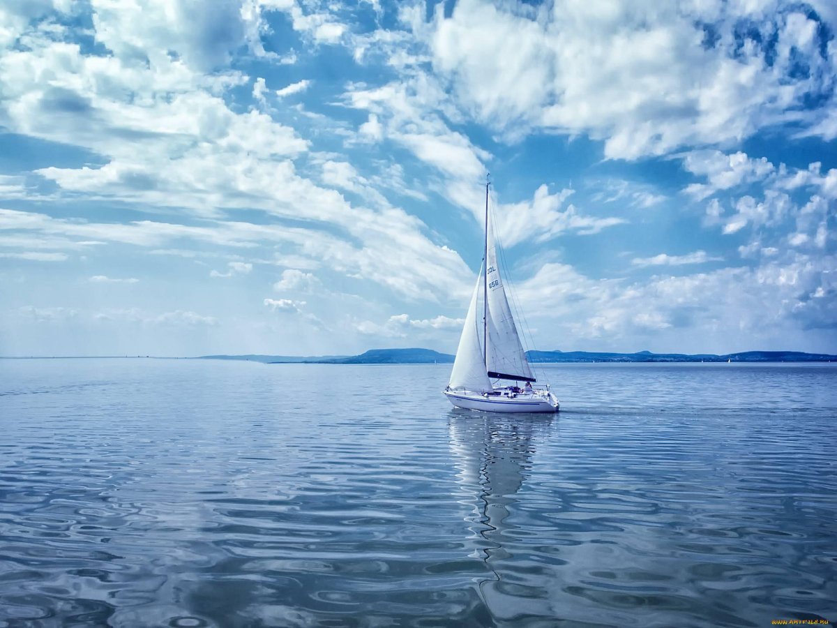 Парусные яхты