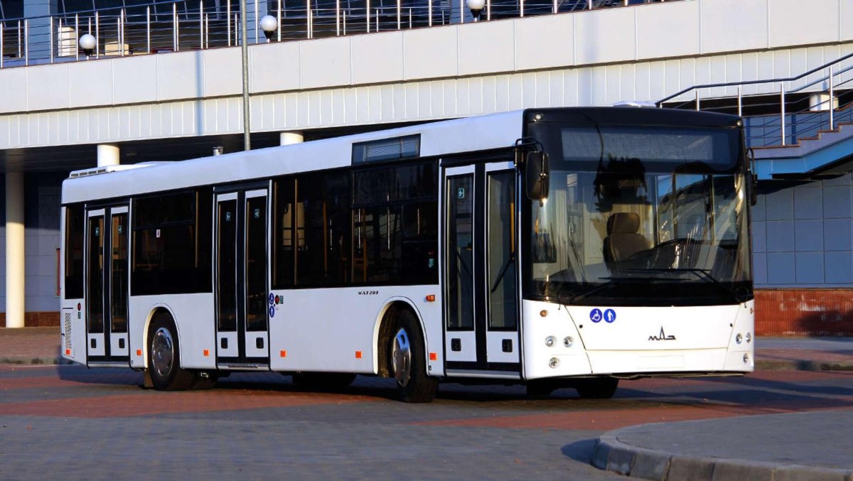 МАЗ 203 новый