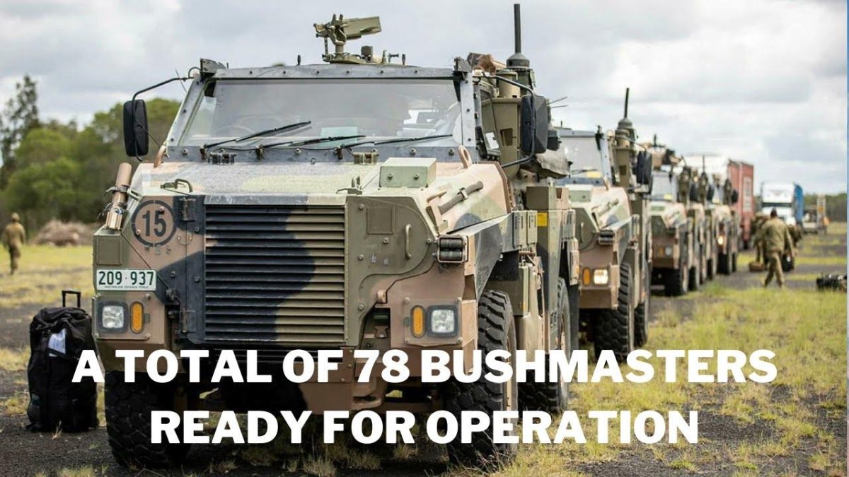 Бушмастер бронетранспортер